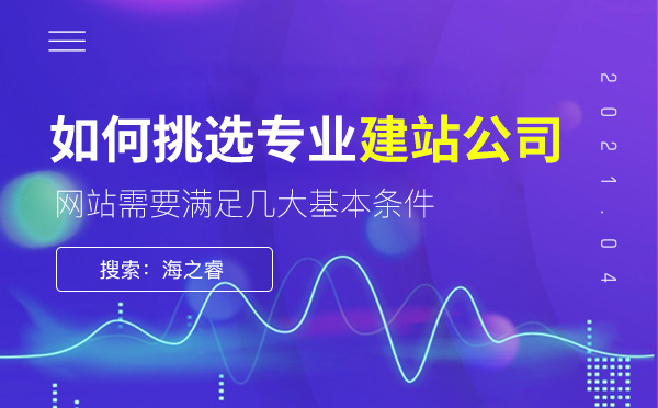 如何挑選專業(yè)網(wǎng)站建設公司?
